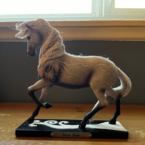 •Storm Rider• The Trail of the Painted Ponies